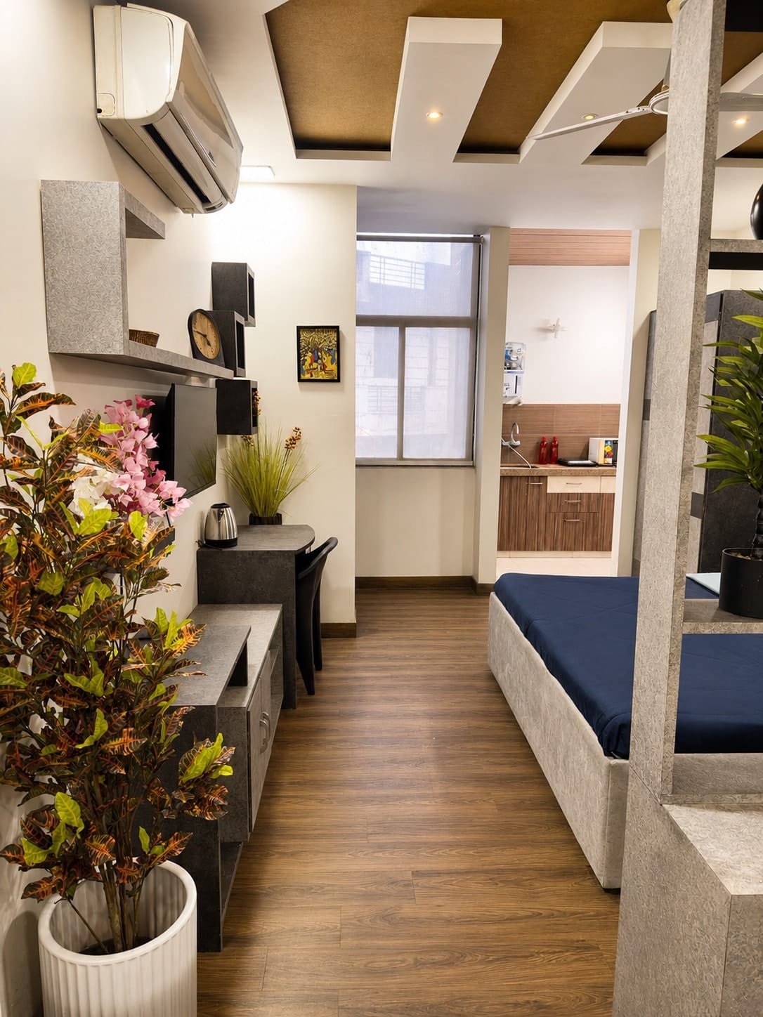 Length of the studio from the entrance, with the bed behind an open shelf divider