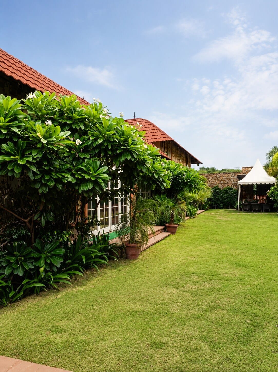 Lawn running beside the stone villa, lined with trees and plants