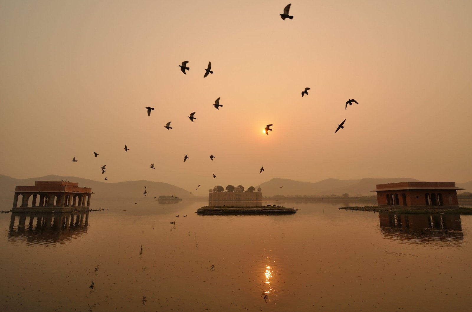 Jal Mahal in the lake at sunrise, birds overhead